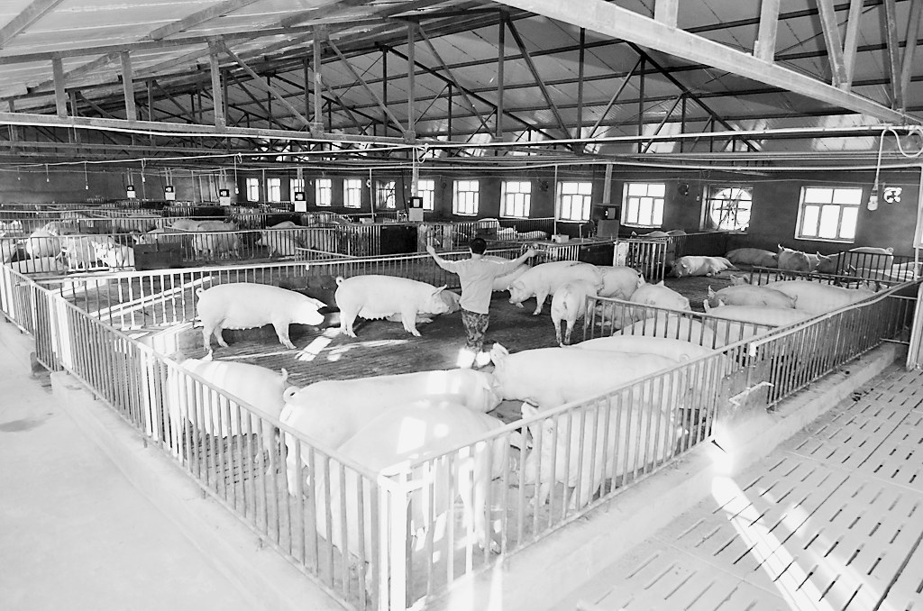 1568194275106670.jpg 2.jpg