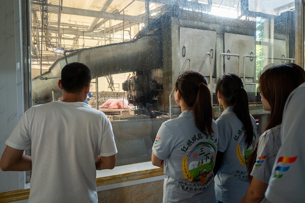 1756270927988610.jpg 3.jpg