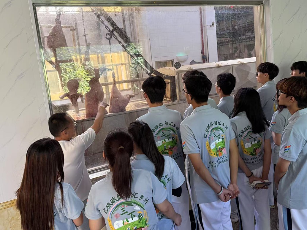 1756271048319415.jpg 4.jpg